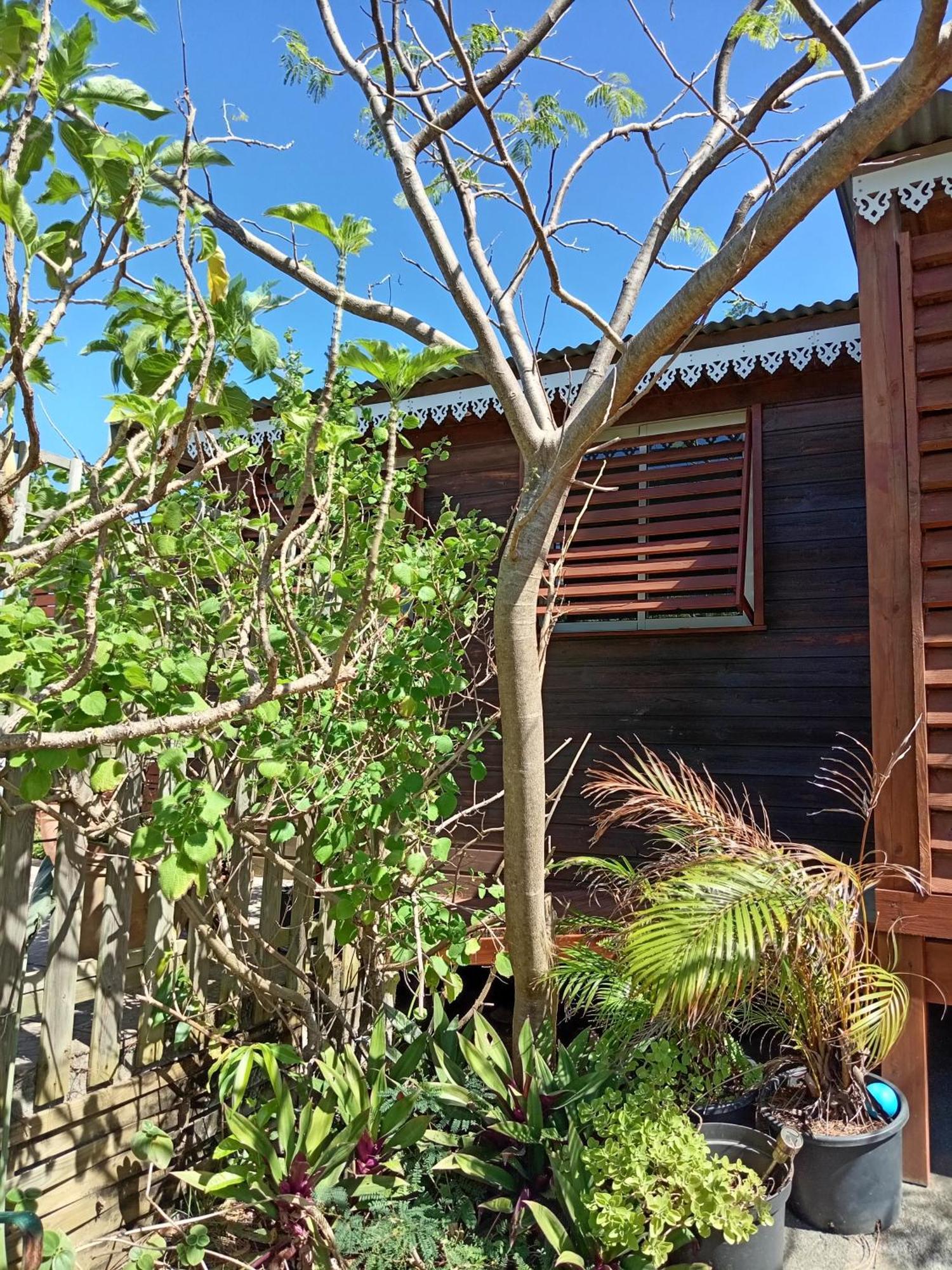 Location Bord Ocean, Holi-Wood Villa Saint-Joseph Exterior photo